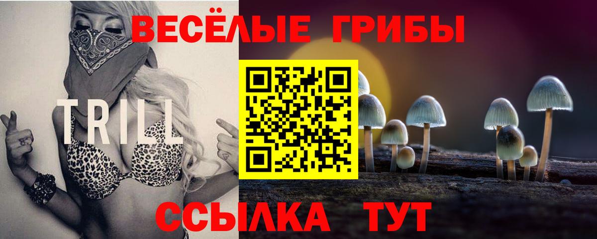 ГАШИШ Каменск-Уральский