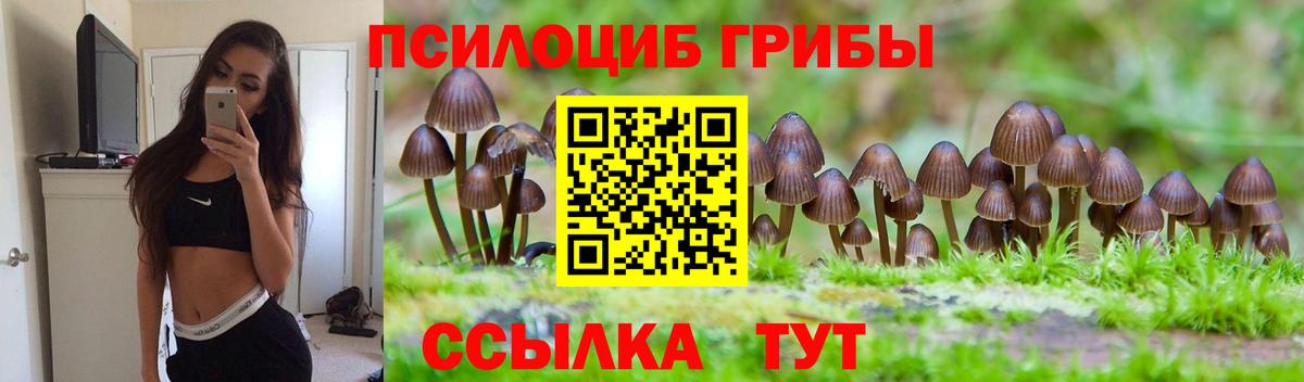 Каменск-Уральский  Галлюциногенные грибы Cubensis  Вход с VPN 